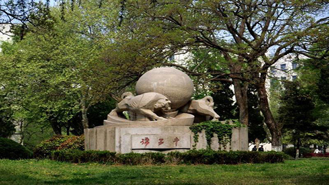 中國科學技術大學花草