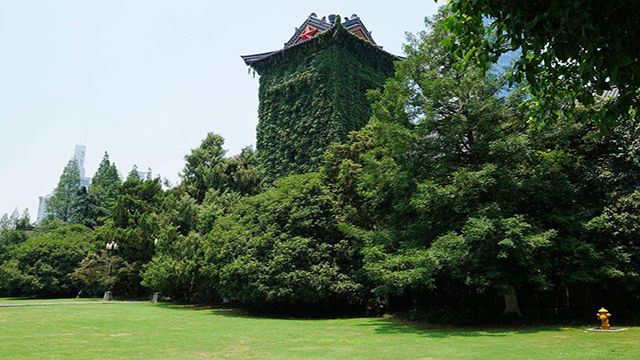 南京大學校園