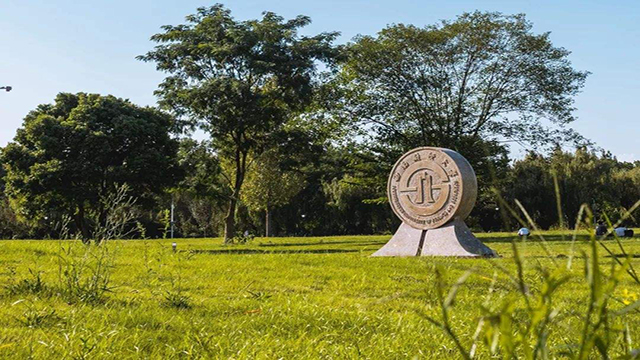 西南財經大學草