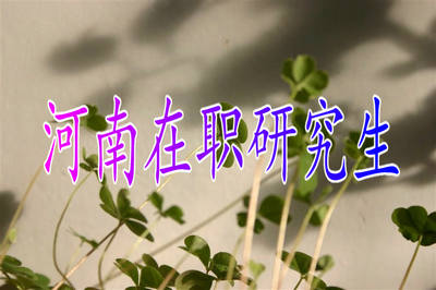 河南在職考研學(xué)歷