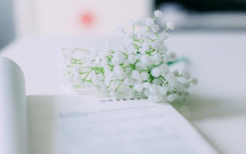 湖南大學同等學力